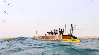 صید ماهی ساردین و مرکب ممنوع شد