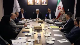 دولت به دنبال ایجاد آرامش شغلی برای نیروهای شرکتی است