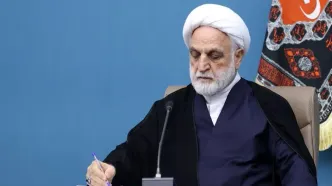 محسنی اژه‌ای توییت جدیدی زد+ متن کامل