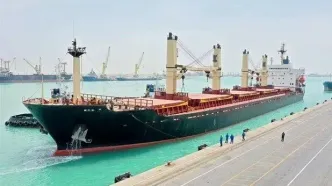 سیاست تازه در واردات؛ پتروشیمی و پلیمر از راه کولبری وارد می‌شوند