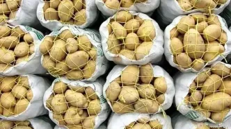 جهش ۷۰۰ درصدی قیمت سیب زمینی در اروپا؛ سونامی تنگه هرمز به سفره غذا رسید