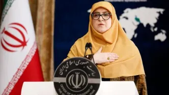 سخنگوی دولت درباره اینترنت توئیت جدیدی زد
