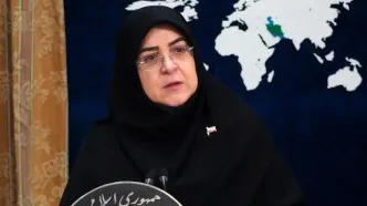 واکنش سخنگوی دولت درباره خبر استعفای رئیس جمهوری