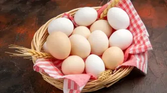 قیمت تخم‌مرغ ناگهان ریخت!