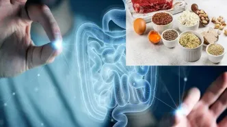 تاثیر شگفت‌آور یک ماده موجود در غذاهای پروتئینی‌ بر ترمیم روده
