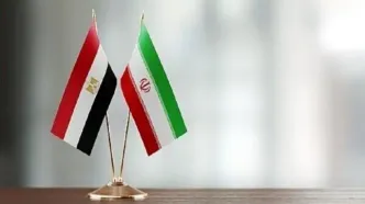 دیدارهای علی باقری با مقامات امنیتی مصر و برزیل
