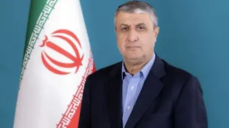معاون رییس جمهور درگذشت دکتر سهرابی را تسلیت گفت