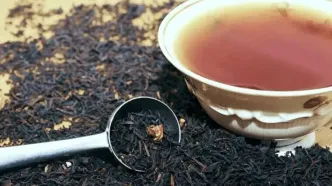 صادرات چای مجاز شد