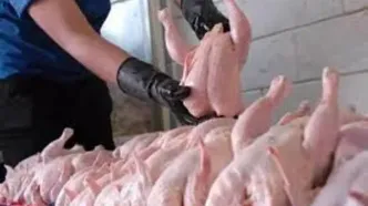 قیمت جدید مرغ امروز شنبه ۲۶ اردیبهشت ۱۴۰۵