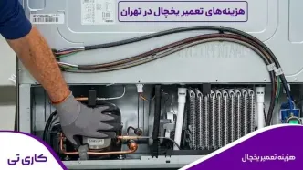سامسونگ، اسنوا، الجی و دوو