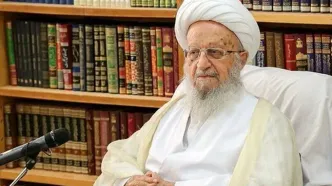 درخواست آیت الله مکارم شیرازی درباره زائران حج/ عربستان مسائل جنگ را با فریضه حج ارتباط ندهد