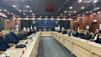 کمیسیون فرهنگی با رئیس بنیاد شهید و امور ایثارگران دیدار کرد