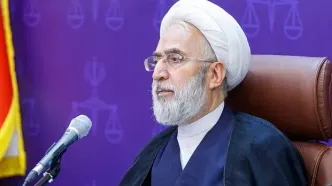 دادستان کل کشور: استفاده از ظرفیت مردمی در حفاظت از منابع طبیعی مؤثر است