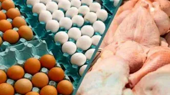 قیمت مرغ و تخم‌مرغ در بازار | این ماهی به کیلویی یک میلیون رسید!
