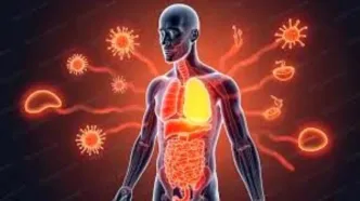 عامل تشدید التهاب مزمن بدن چیست؟
