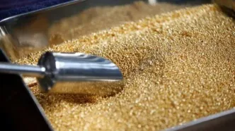 کاهش هفتگی قیمت طلای جهانی