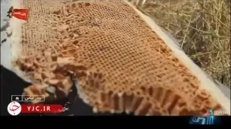 ببینید| جزئیات شکار یک فروند پهپاد جاسوسی اوربیتر اسرائیلی در آسمان هرمزگان