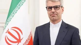 سخنگوی هیئت مذاکره‌کننده ایران مشخص شد