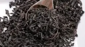 صادرات چای به صورت مشروط آزاد شد
