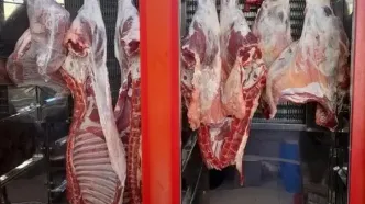 هر کیلو گوساله ۵۱۰ هزار تومان؛ برای صادرات گوشت قرمز مشکلی نداریم