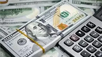 پاسخ روزنامه دولت به منتقدان ارز تک نرخی