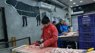 قیمت جدید مرغ در بازار