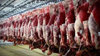 قیمت گوشت قرمز امروز دوشنبه ۴ خرداد ۱۴۰۵