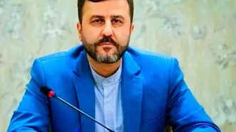 واکنش غریب آبادی به تعلیق تحریم‌های اعمالی علیه فرانسسکا آلبانیز