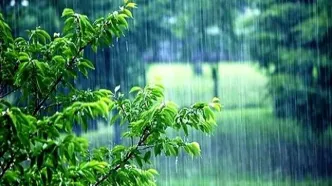 رگبار باران در برخی نقاط کشور/ وزش باد شدید در بیشتر استان‌ها