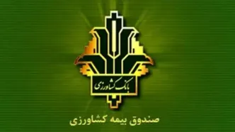 افزایش 140 درصدی غرامت پرداختی به کشاورزان خسارت دیده / جهش ۱۵۰ درصدی تعهدات بیمه گندم/ پوشش 100 درصدی 6.5 میلیون هکتار گندمزار