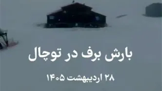 ویدئو خیره‌کننده از بارش برف امروز در توچال