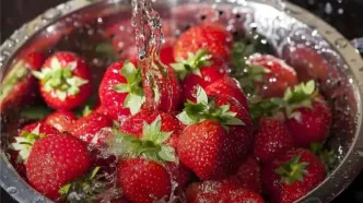 آلوده ترین میوه از نظر سموم کشاورزی را بشناسید + طرز تمیز کردن