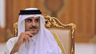 امیر قطر و هاکان فیدان درباره تحولات منطقه گفت و گو کردند