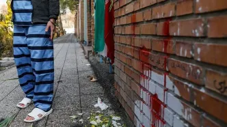 قضاوت عجولانه یا عدم آگاهی؟؛ توضیحات قوه قضائیه درباره پرونده آرمان علی‌وردی