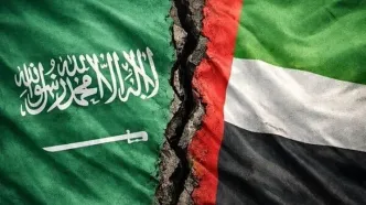 نگرانی آمریکا از تشدید اختلاف عربستان و امارات پس از جنگ با ایران
