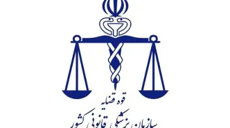 نتایج آزمایش‌های ژنتیک برای شناسایی شهدا ظرف ۴۸ ساعت اعلام شد