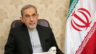 علی اکبر ولایتی: آمریکا به‌زودی مجبور خواهد شد نه‌تنها از ایران، بلکه از کل منطقه خارج شود