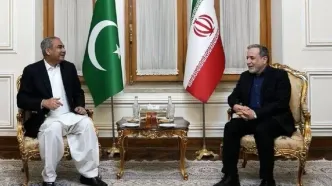 جزئیات دیدار وزیر کشور پاکستان با عراقچی