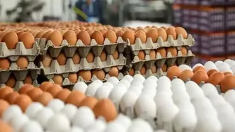 قیمت جدید هر شانه تخم مرغ اعلام شد