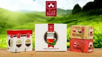 بازداشت 300 پلاک ثبتی مورد رهن چای دبش