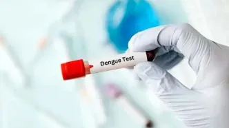 شیوع یک بیماری خطرناک در کشور تایید شد
