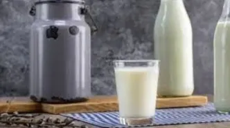 افزایش ۲۹درصدی قیمت شیرخام روی میز سازمان حمایت