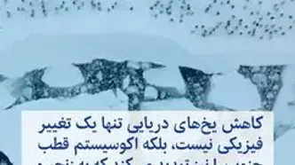 شوک اقلیمی در قطب جنوب؛ یخ‌های دریایی وارد سقوط بی‌سابقه شدند