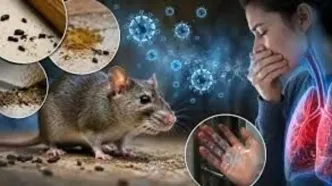 آیا هانتاویروس پاندمی می‌شود؟