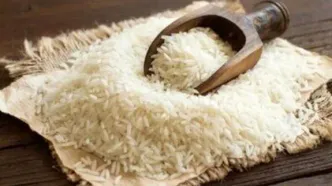 خبر جدید درباره بازار برنج/ حسامی: بازار هنوز افزایش قیمت شدید و خارج از کنترل نداشته است