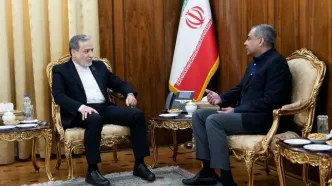 وزیر کشور پاکستان با عراقچی دیدار کرد