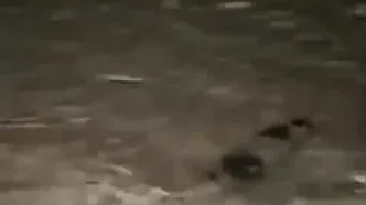 کشف لاشۀ پهپاد منهدم‌شده در قشم