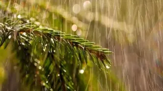 آب جیره‌بندی می‌شود؟