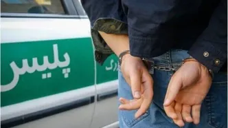 سارق قطعات و محتویات داخل خودرو در مراغه دستگیر شد