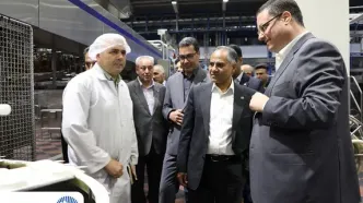 بانک تجارت حامی توسعه و افزایش توان تولیدی «دومینو»
